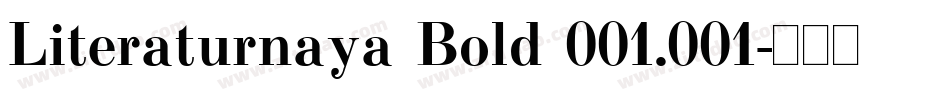 Literaturnaya Bold 001.001字体转换